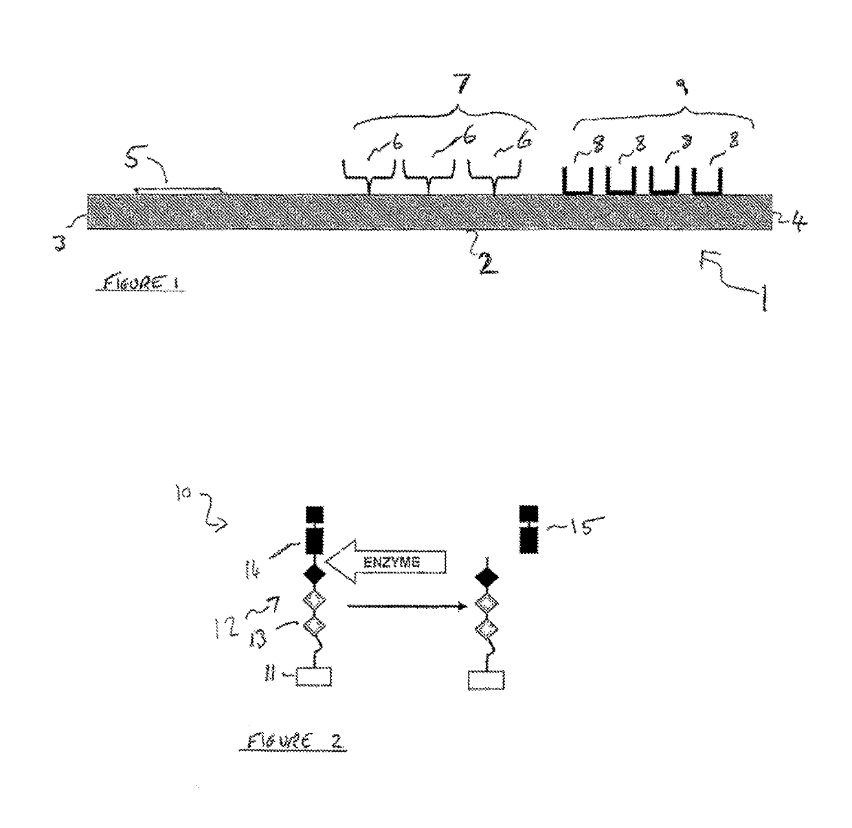 Enzyme detection device