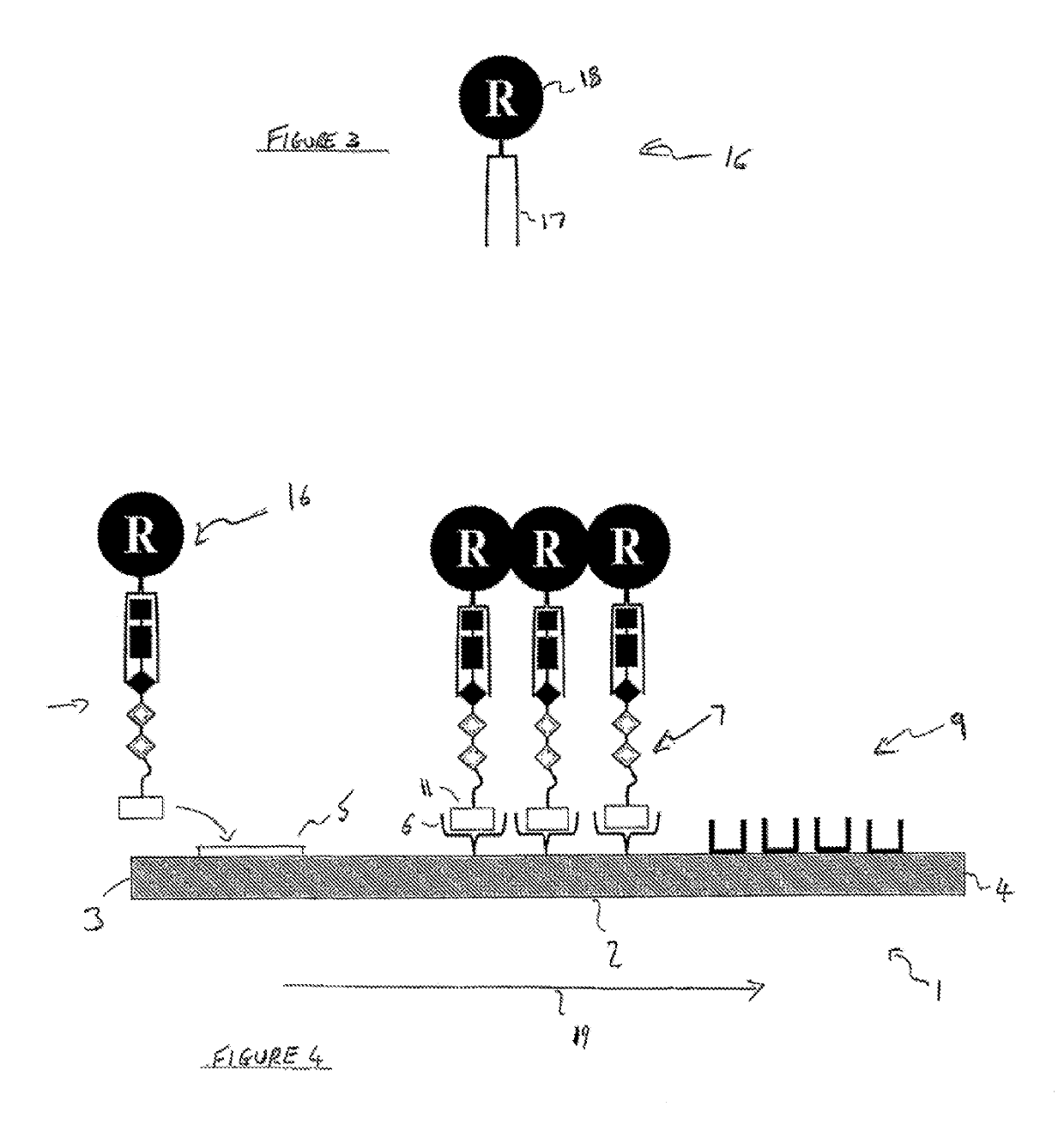 Enzyme detection device