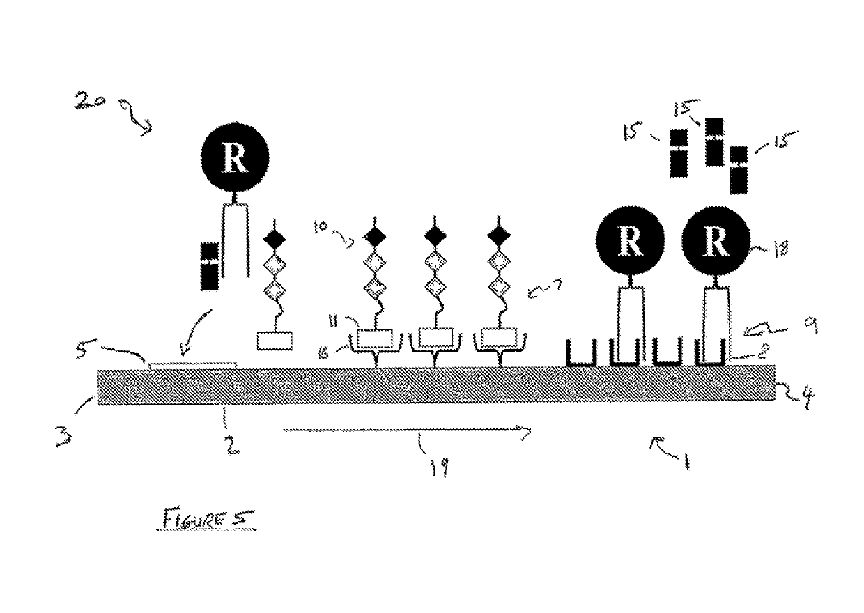 Enzyme detection device