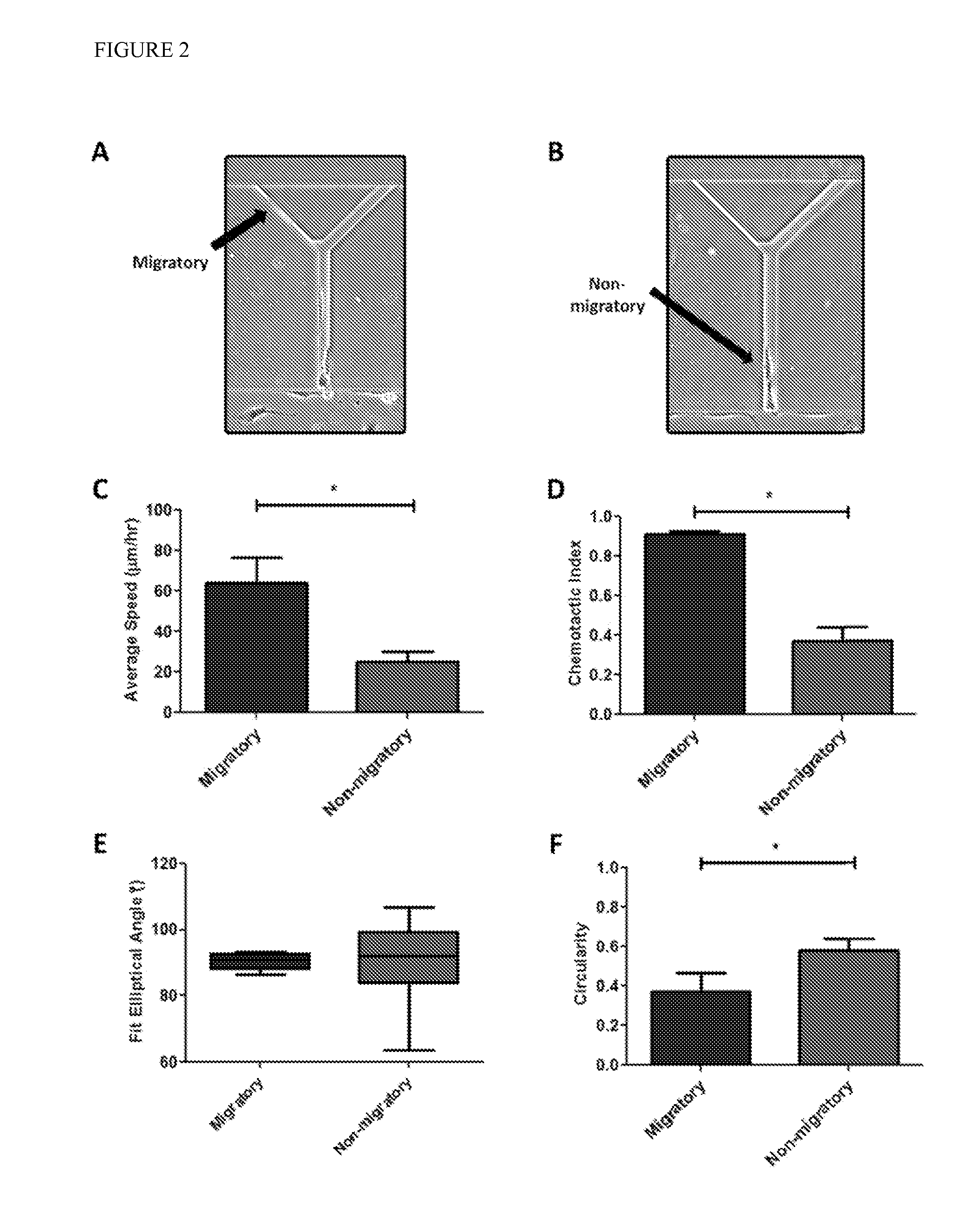 Microfluidic chip for analysis of cell motility and methods for using same