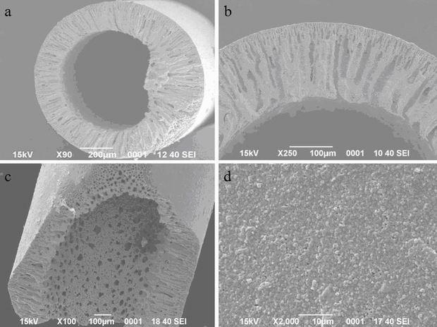 Preparation method for asymmetric hollow fiber type solid oxide fuel cell