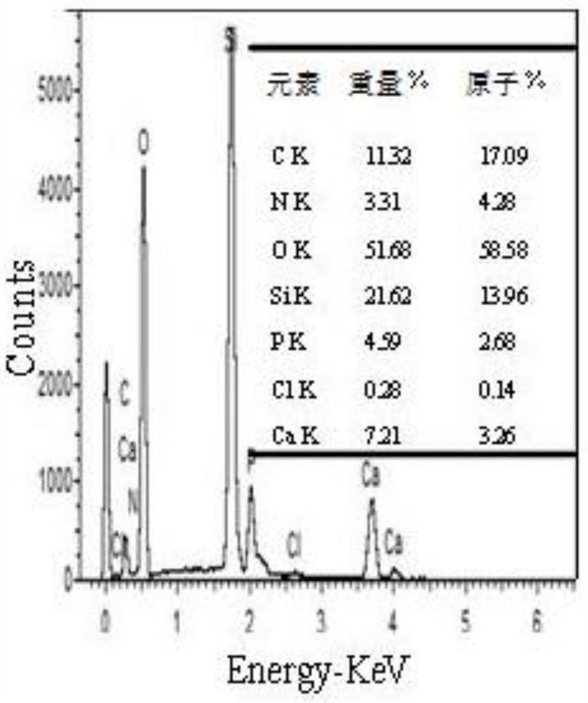 Nano-hydroxyapatite/polyhexamethylene monoguanidine hydrochloride/silica gel composite material preparation method and solid-phase extraction method