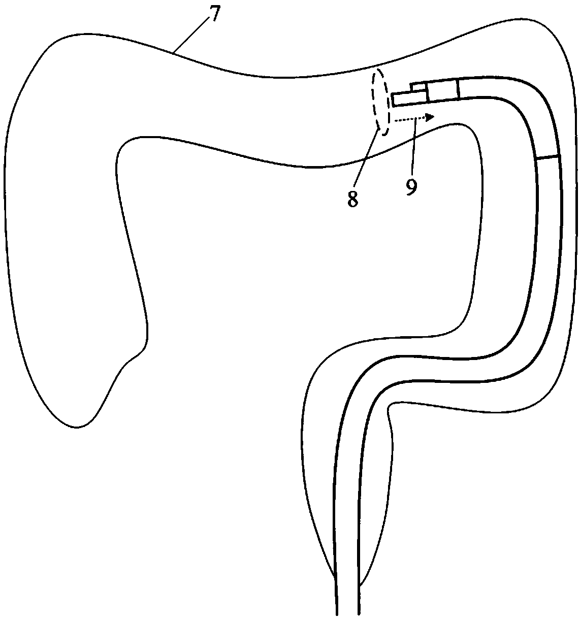 Snake-bone-turning-based bending cavity internal three-dimensional opto-acoustic endoscope and imaging method thereof