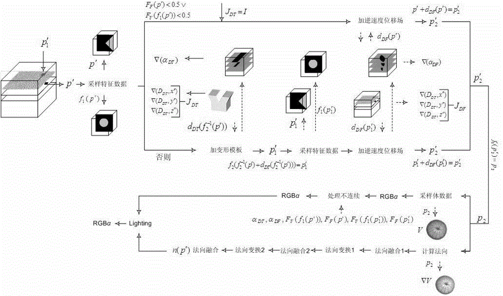 Volume data deformation and visualization method based on inverse speed displacement field