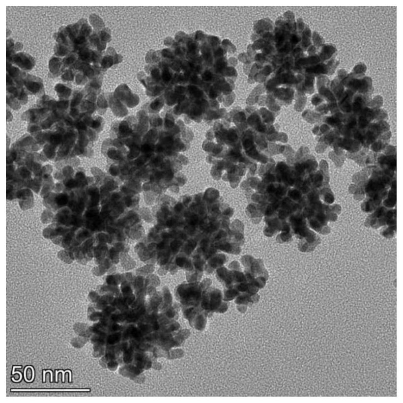 A polydopamine@gold composite nanoflower drug-loaded particle and its preparation method and application