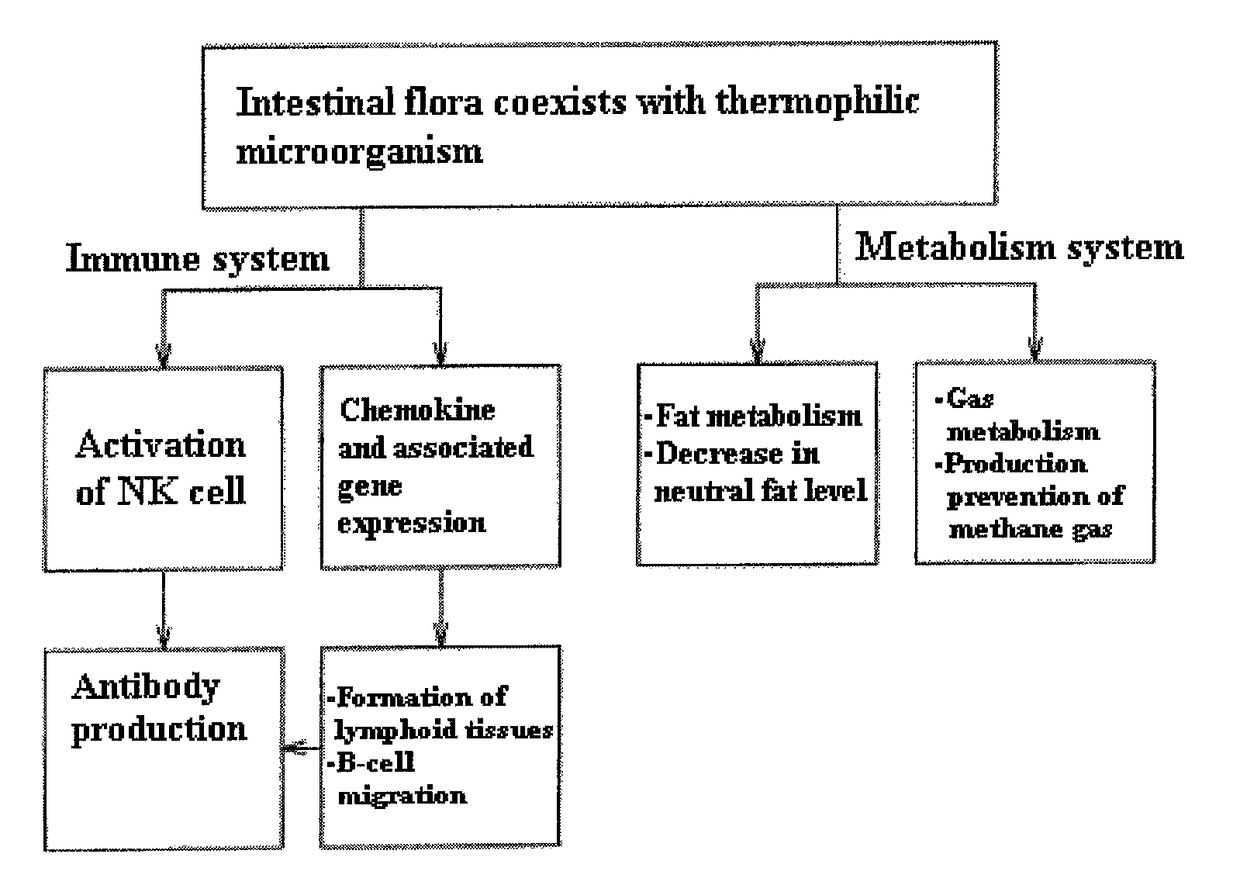 Mixture, dissolving solution and pharmaceutical agent each comprising thermophilic microorganism