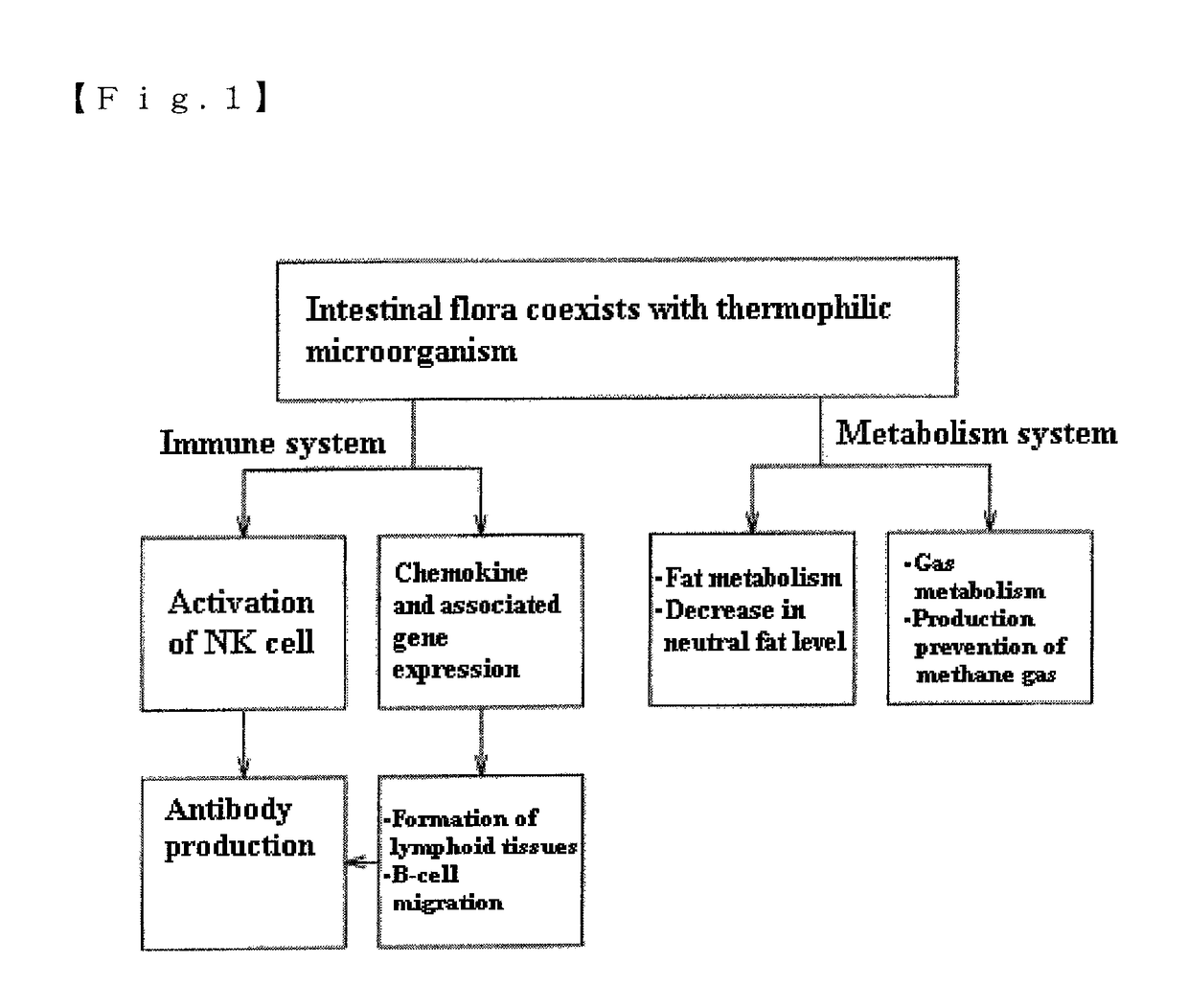 Mixture, dissolving solution and pharmaceutical agent each comprising thermophilic microorganism