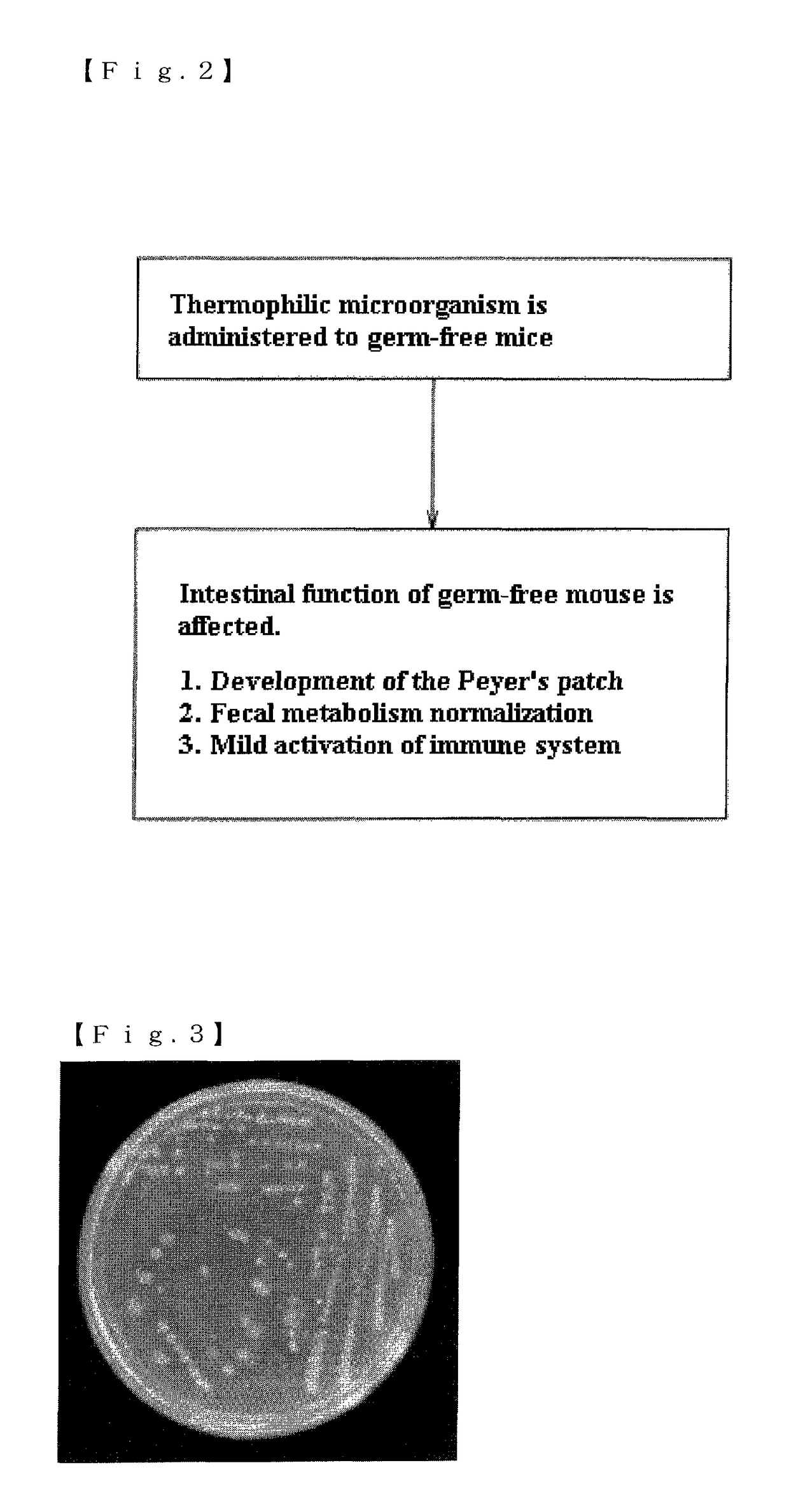 Mixture, dissolving solution and pharmaceutical agent each comprising thermophilic microorganism