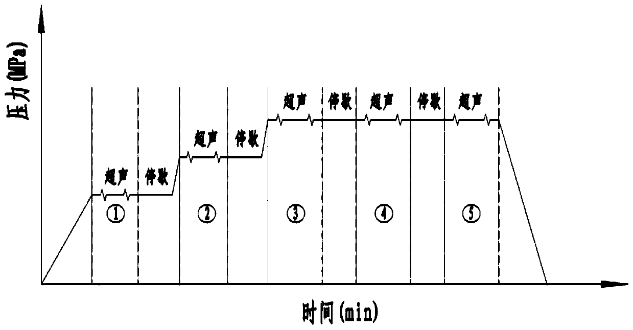 Ultrasonic auxiliary powder forming method in fluid environment