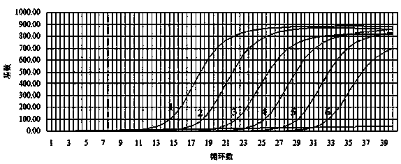 Fluorescent quantitative PCR detection technology of brassicaceous vegetable plasmodiophoromycetes, and its application