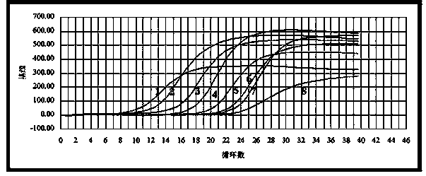 Fluorescent quantitative PCR detection technology of brassicaceous vegetable plasmodiophoromycetes, and its application