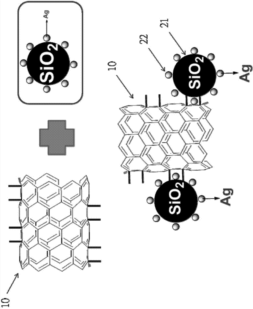 Carbon nanotube composite structure with silicon dioxide nano particles and silver nanoparticles