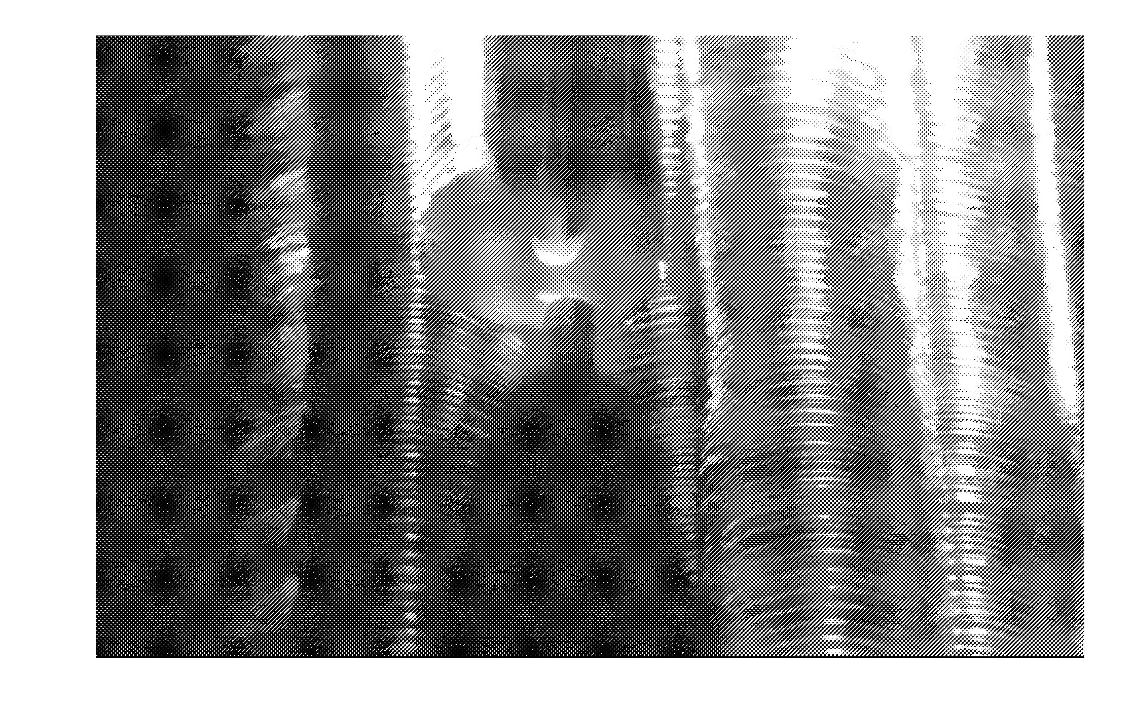 Visual monitoring, or imaging, system and method for using same