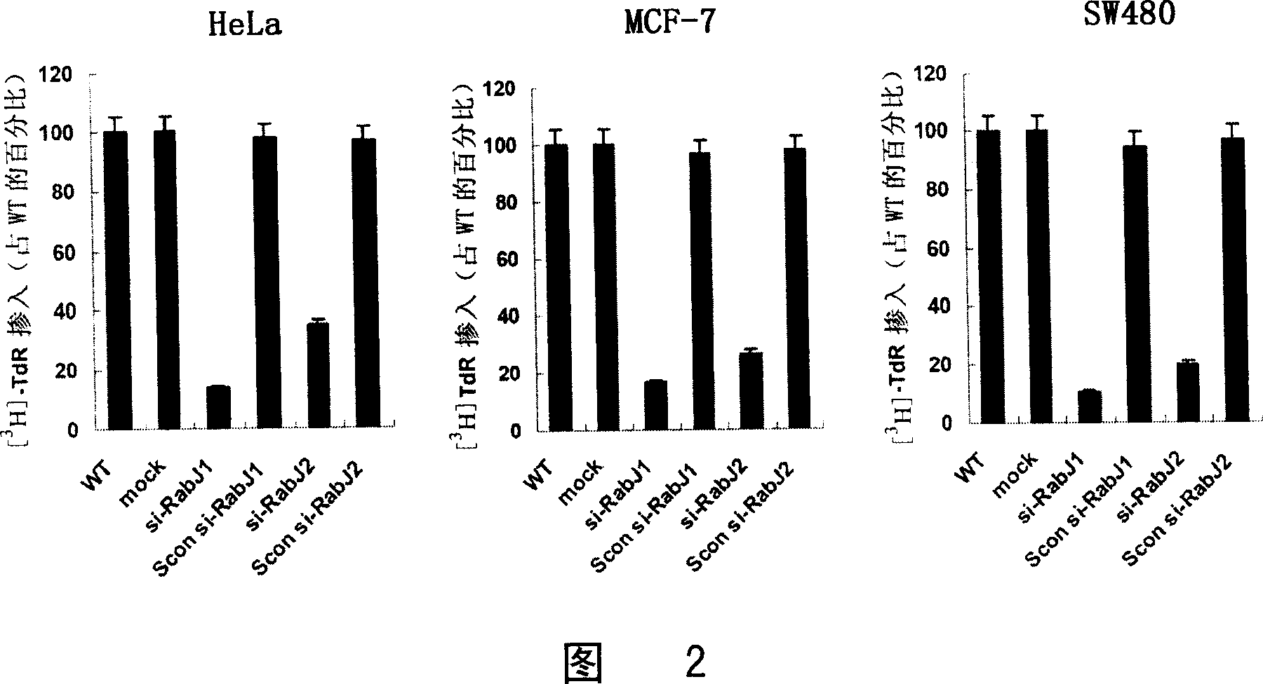 SiRNA for inhibiting human Rabj gene expression and its application