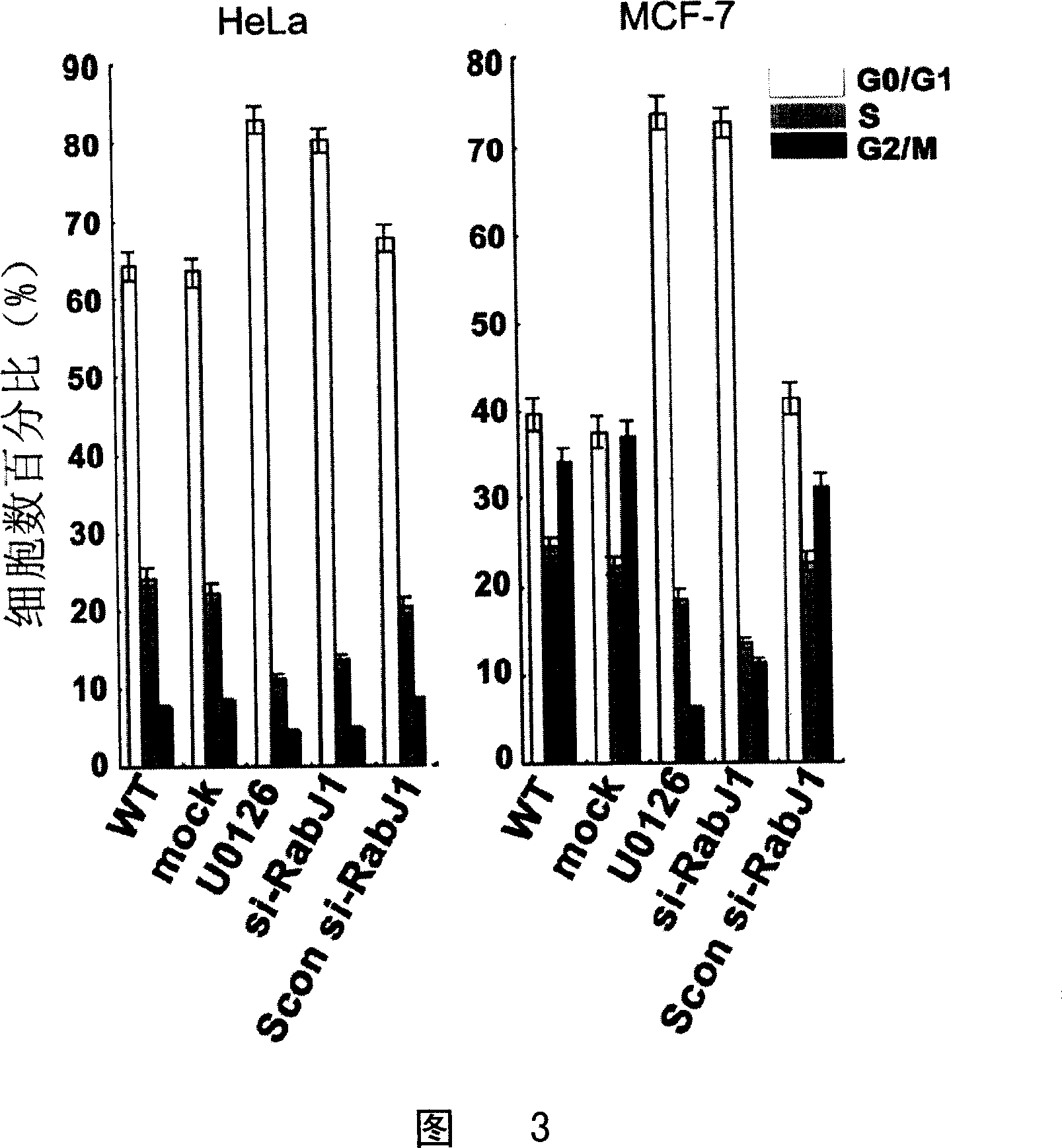 SiRNA for inhibiting human Rabj gene expression and its application