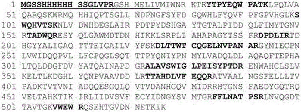 Application of novel fructosidase coding gene