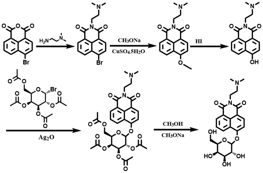 Fluorescent probe for detecting β-galactosidase, preparation method and application