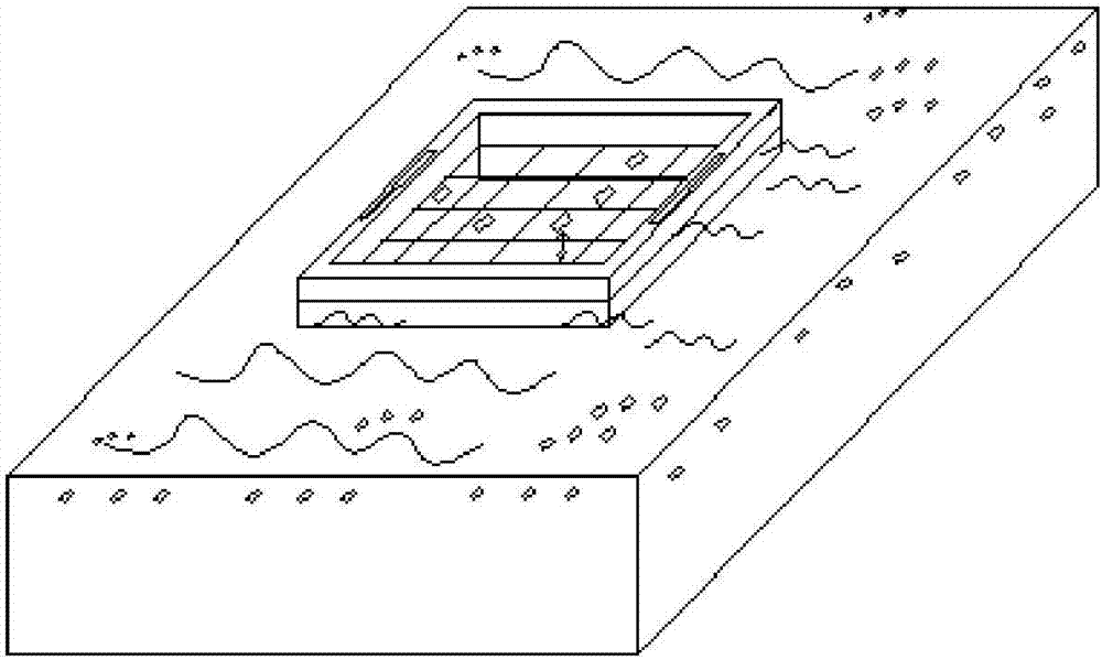 Device and method for acquiring microplastic in surface layer water