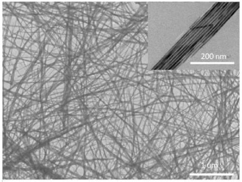 3D Te nanowire aerogel, and preparation method and application of aerogel