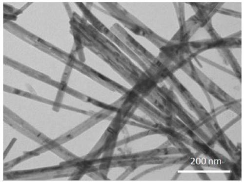 3D Te nanowire aerogel, and preparation method and application of aerogel