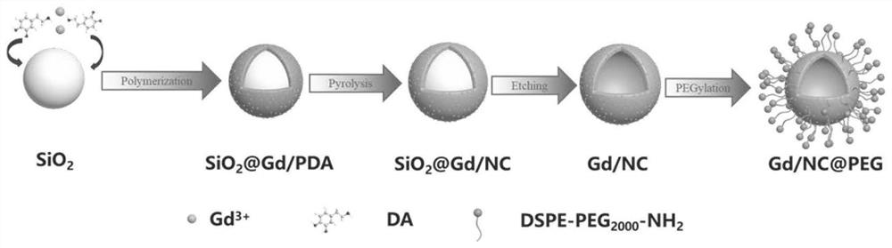 Preparation method and application of single-atom gadolinium contrast agent supported on hollow nitrogen-doped carbon spheres