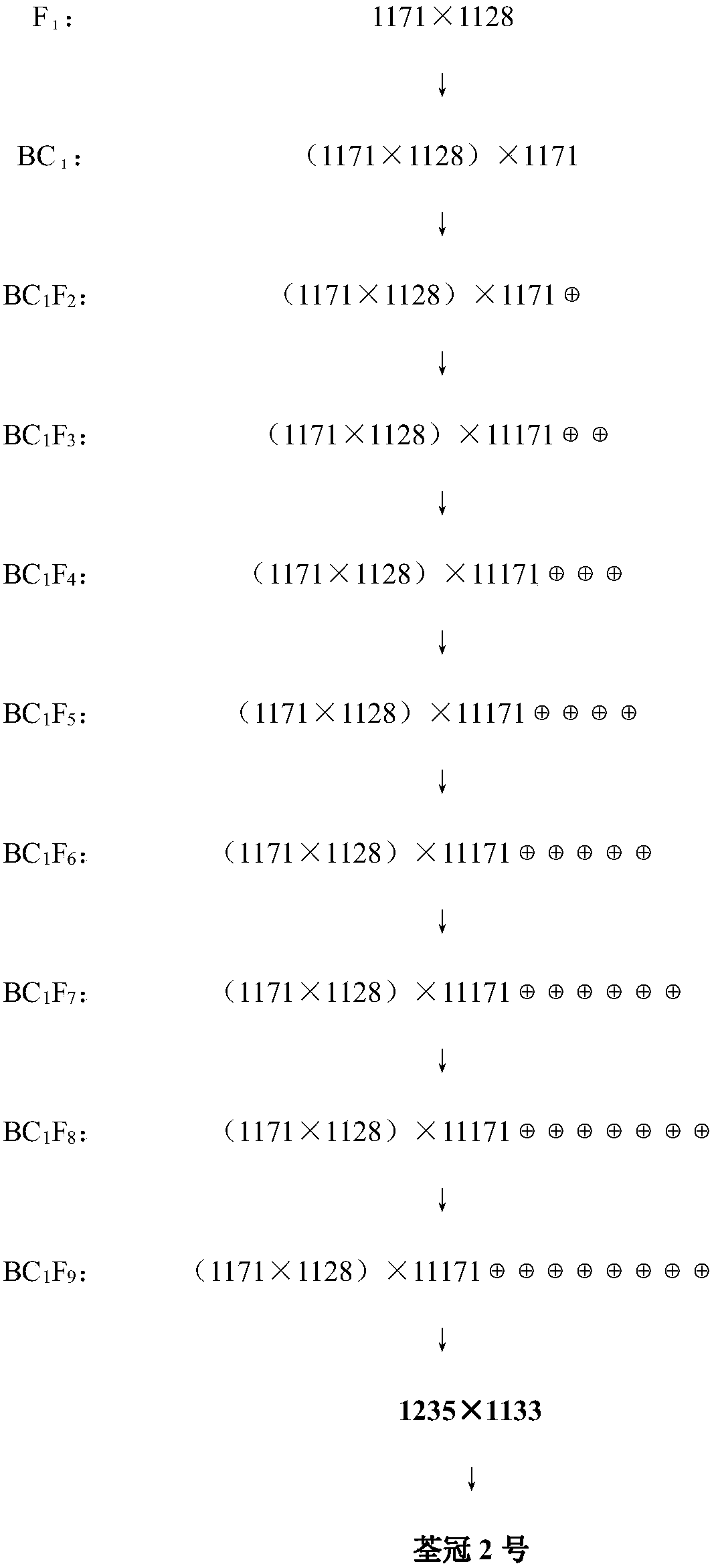 The Breeding Method and Application of the Non-Manny Type Pumpkin