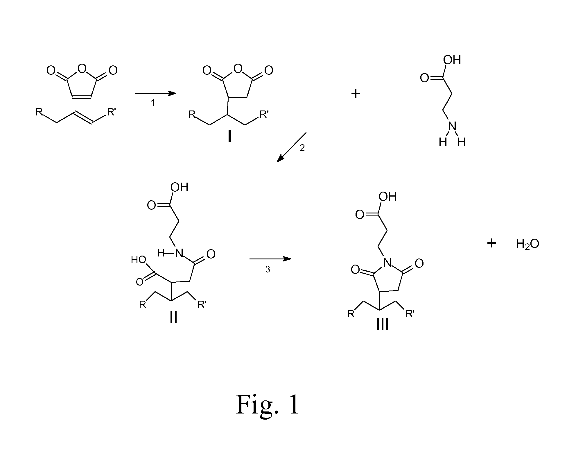 Aqueous Coating Compositions Including The Reaction Product Of Maleic Anhydride With An Unsaturated Compound And An Amine