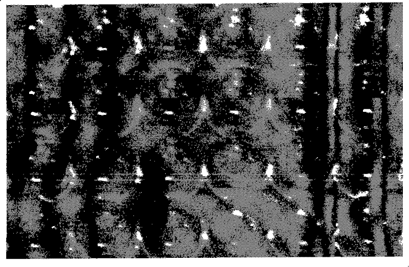 CpTI enzyme-linked immunoassay reagent kit as well as preparation method and application thereof