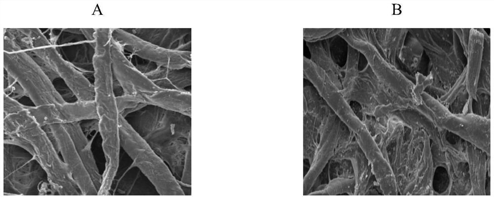 Preparation method for low-viscosity high-hydroxyl-value polymer surface enhancer used for paper