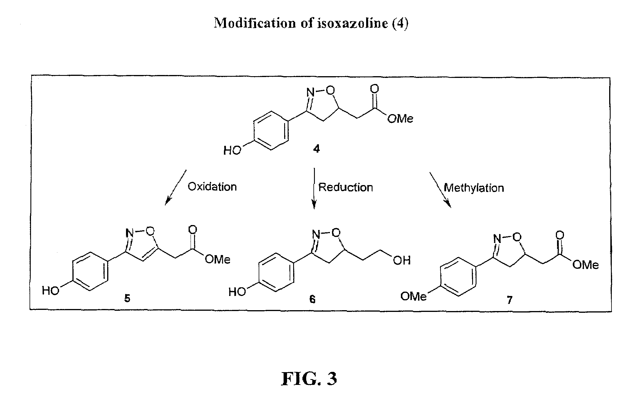 Isoxazoline compounds having MIF antagonist activity