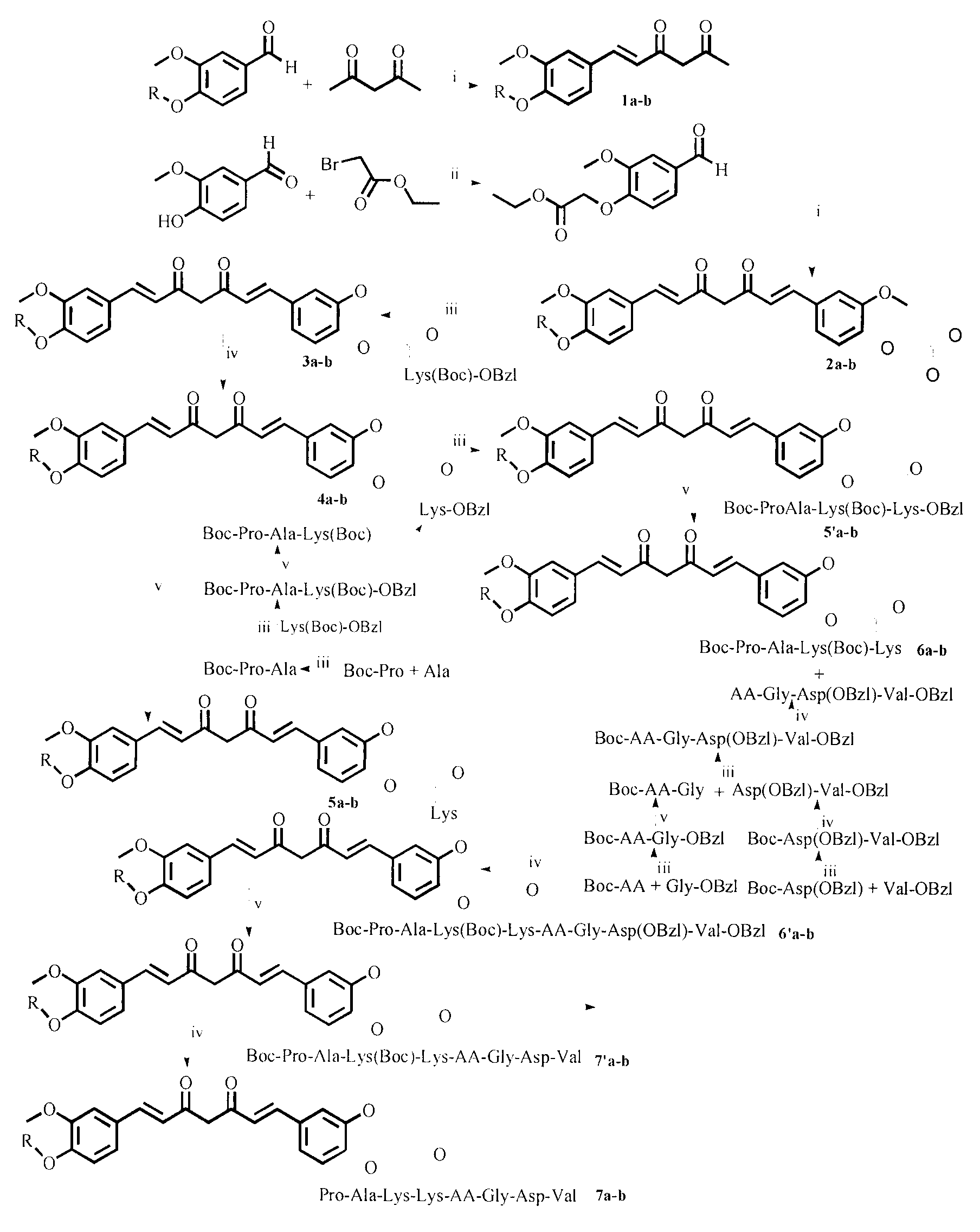 Lys and oligopeptide-modified curcumin derivatives, and synthesis and medical application thereof