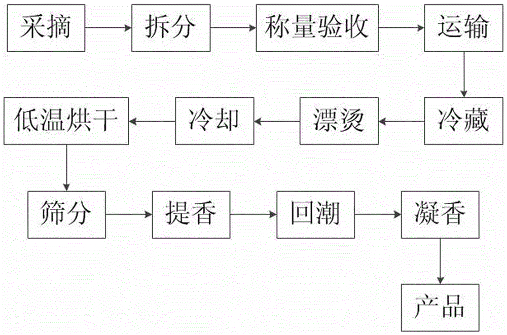 Method for processing highly-flavored type eucommia male flower tea