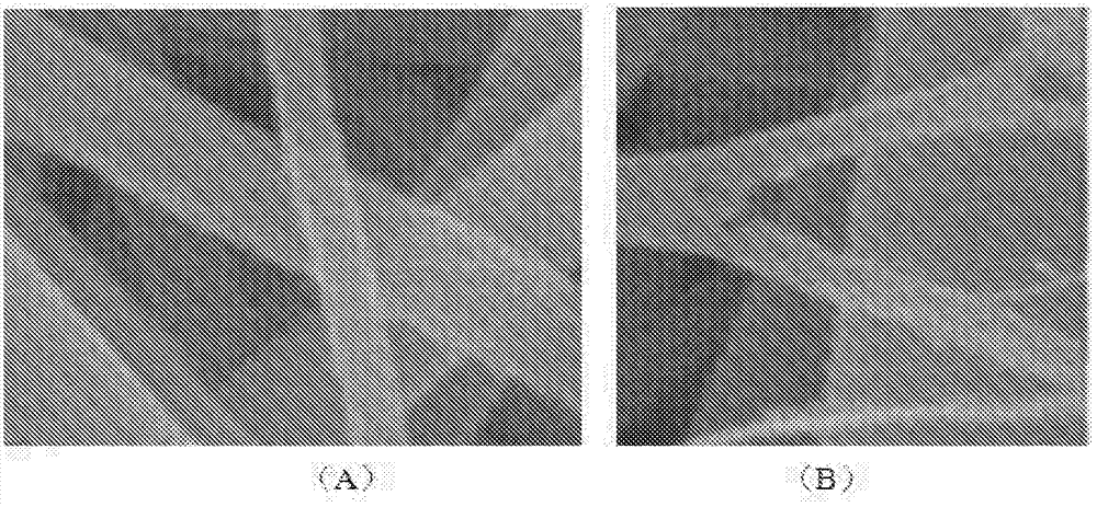 Tissue repair scaffold and preparation method and use thereof