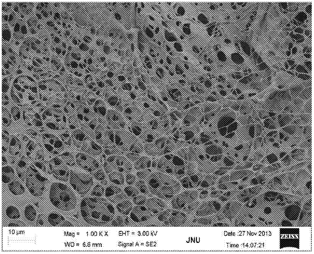 Tissue repair scaffold and preparation method and use thereof