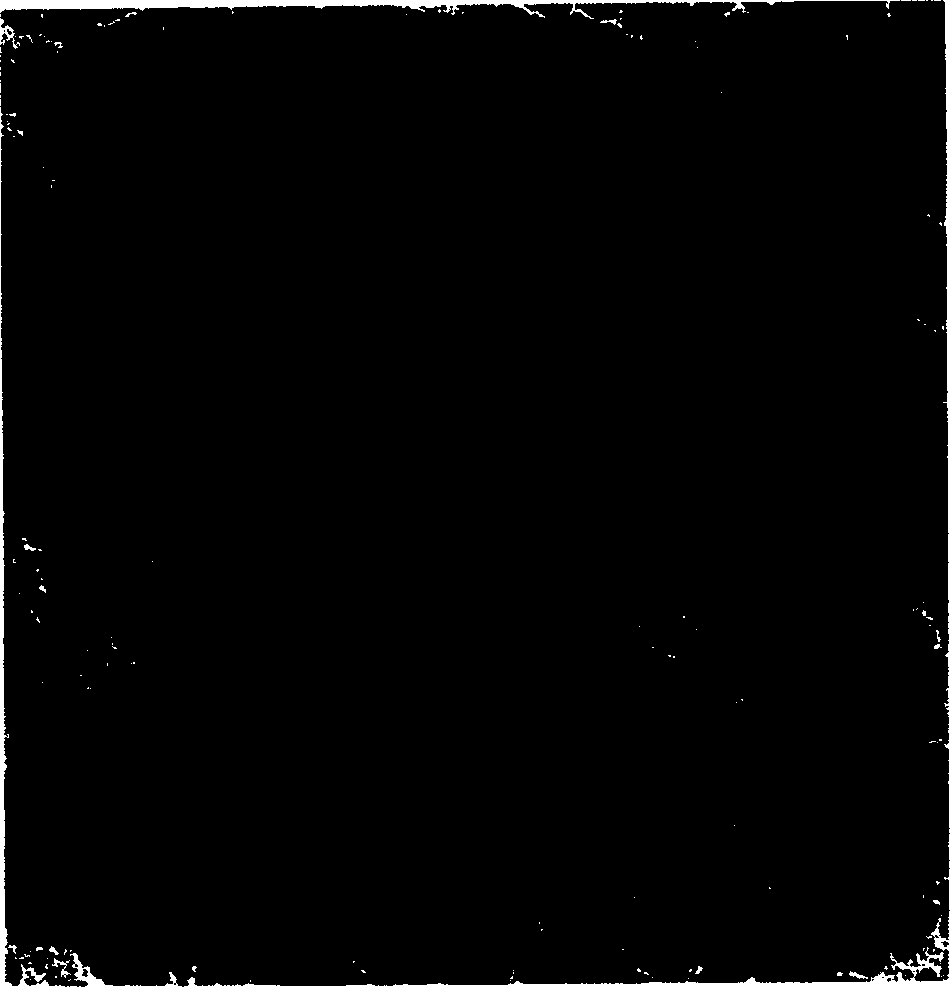 Process for preparing semisolid non-dendritic zinc base alloy