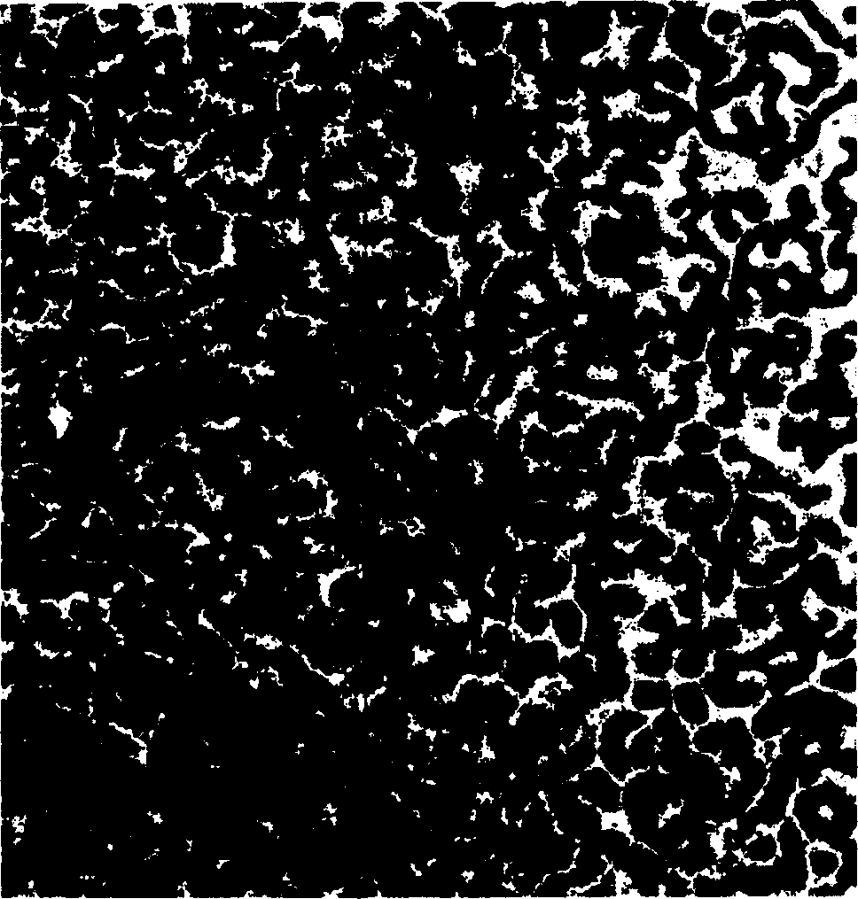 Process for preparing semisolid non-dendritic zinc base alloy