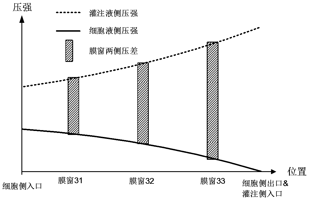 Serialized perfusion type microfluidic device