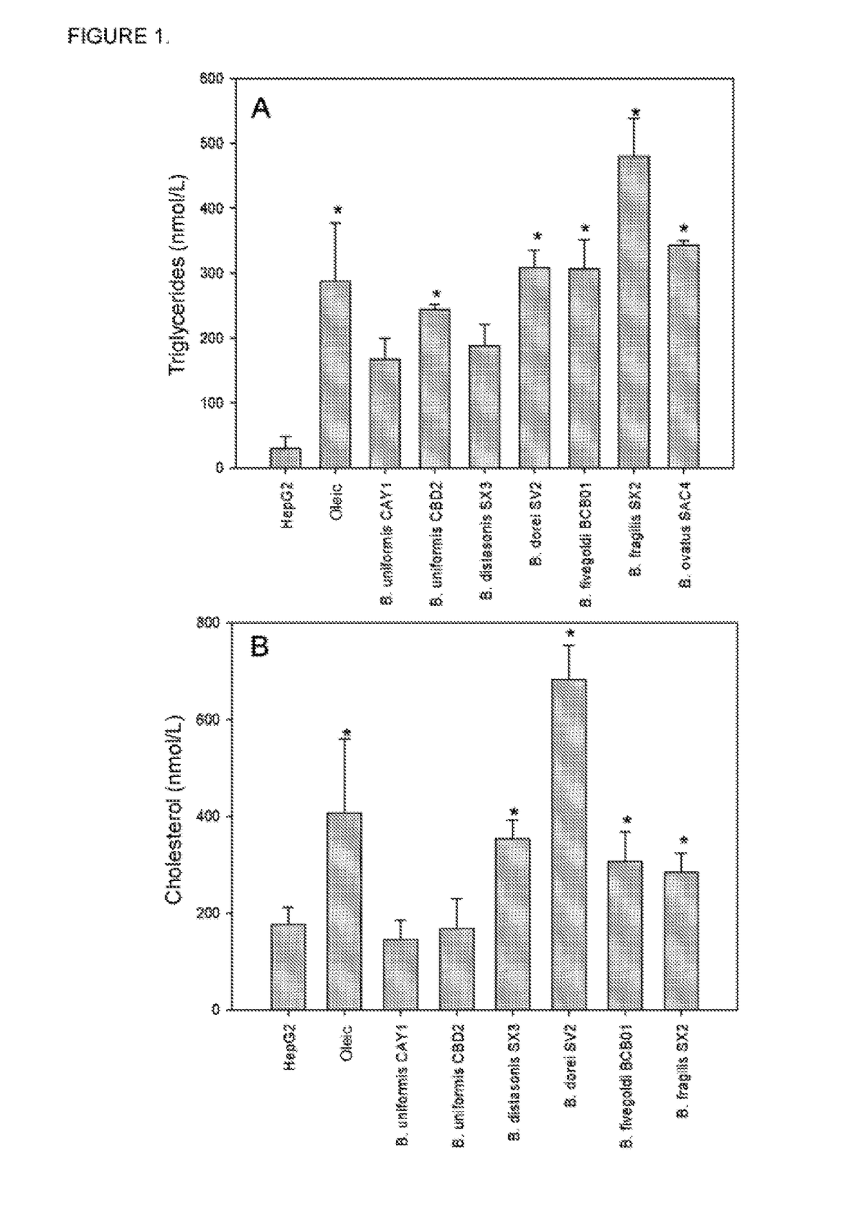 Bacteroides CECT 7771 and the Use Thereof in the Prevention and Treatment of Excess Weight, Obesity and Metabolic and Immunological Alterations