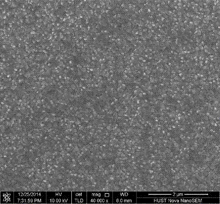 A highly oriented antimony selenide thin film and its preparation method