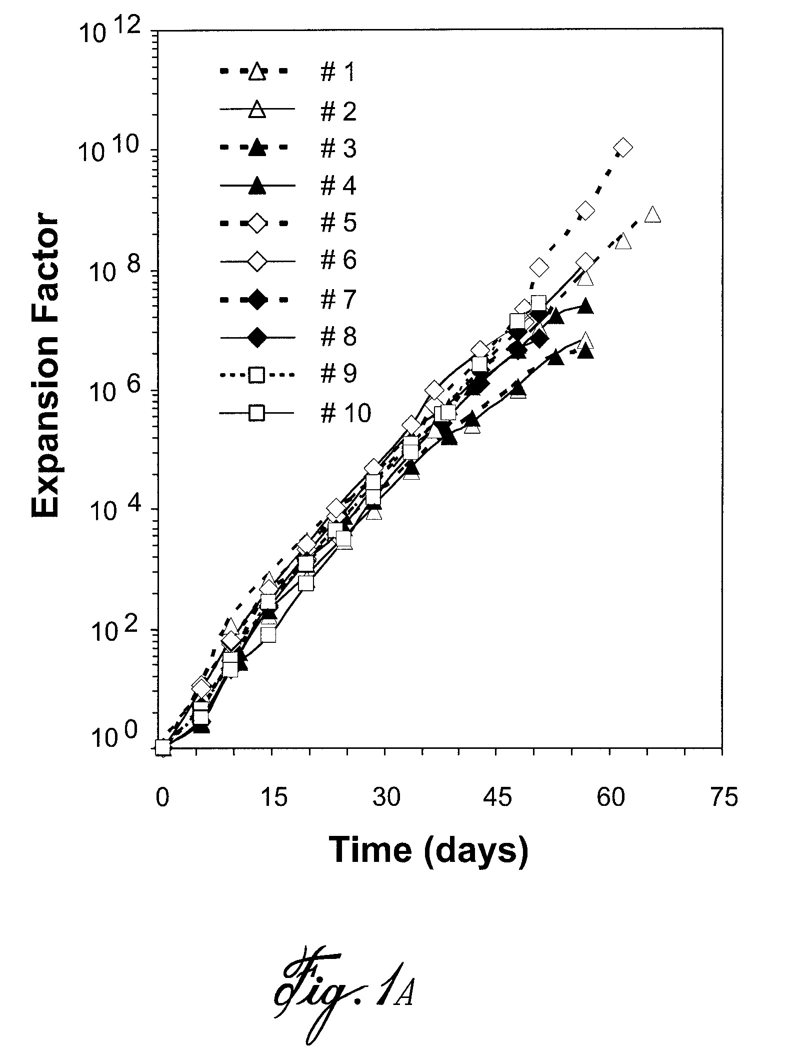 Method for polyclonal immunoglobulin G production by human B cells