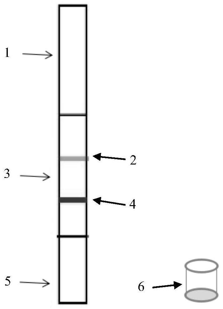 A kind of atropine hapten and its synthesis method, antigen, antibody and application