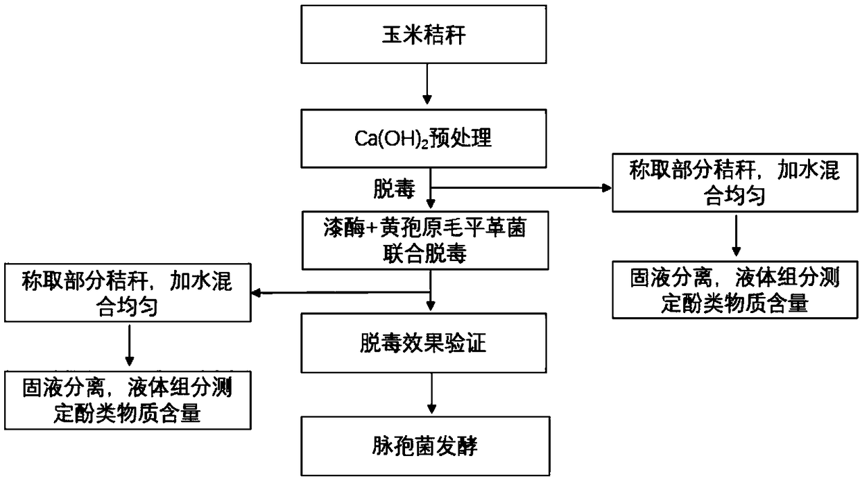Pretreatment method of straw biological feed raw material