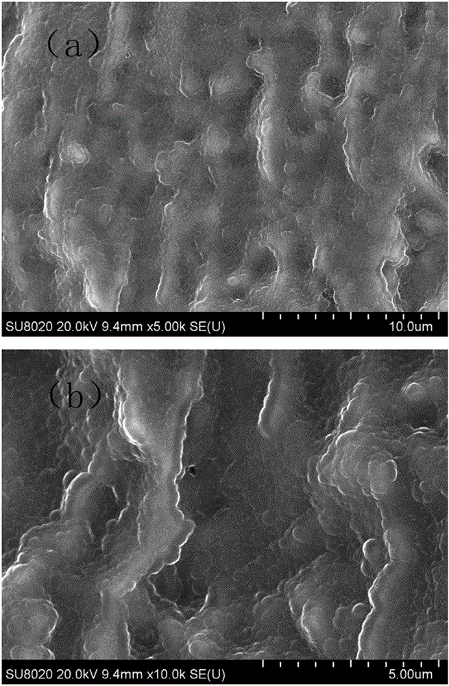 A method for preparing carbon nanotube-modified palladium-loaded electrodes by electrophoresis-chemical deposition