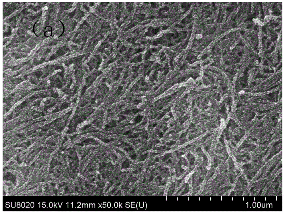 A method for preparing carbon nanotube-modified palladium-loaded electrodes by electrophoresis-chemical deposition