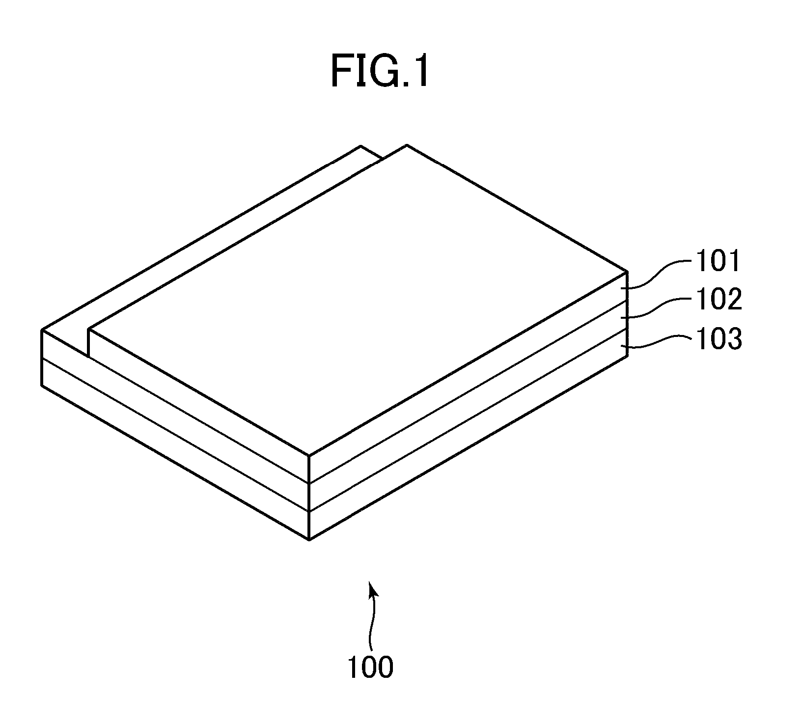 Display device including a data selector circuit