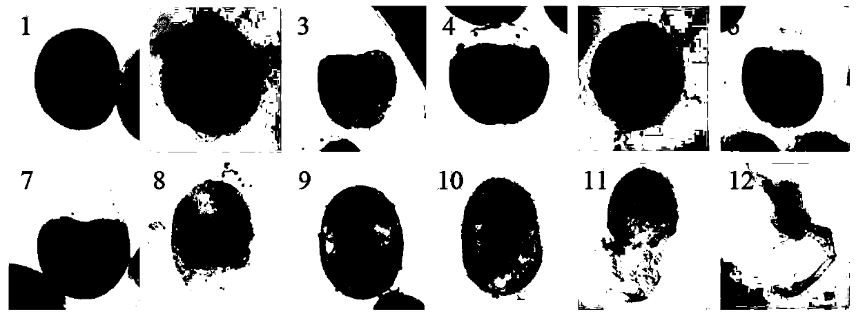 Method for increasing in-vitro culture hatching rate of macrobrachium rosenbergii embryos
