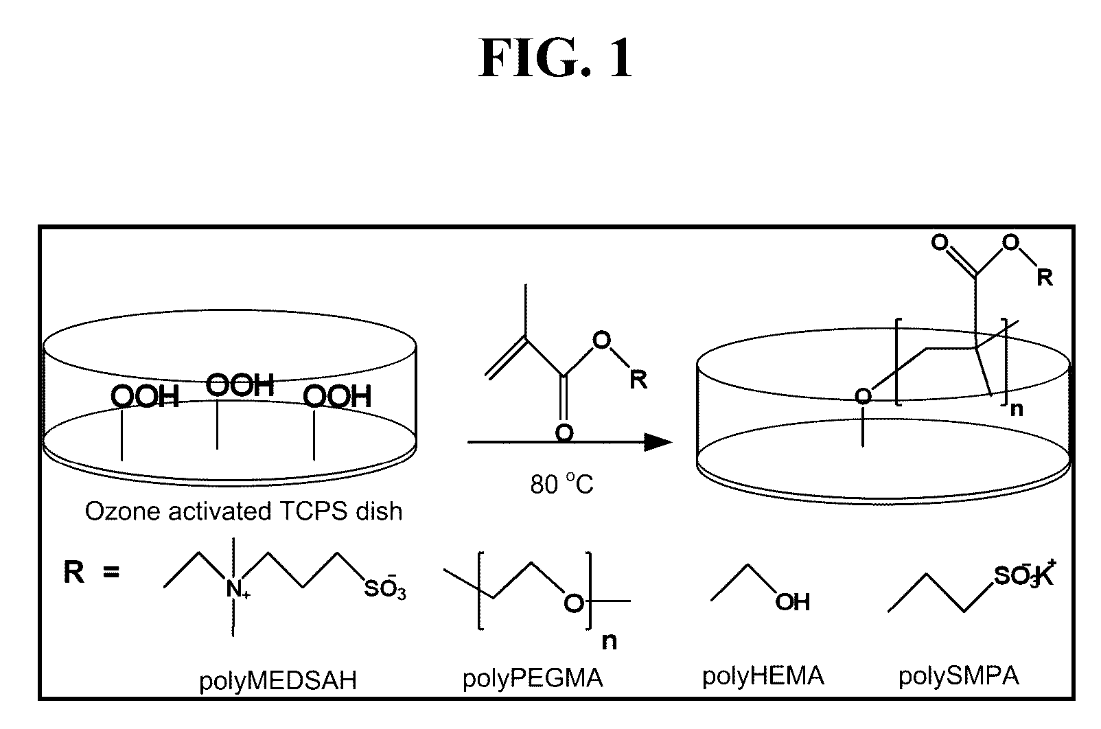 Methods and compositions for growth of cells and embryonic tissue on a synthetic polymer matrix