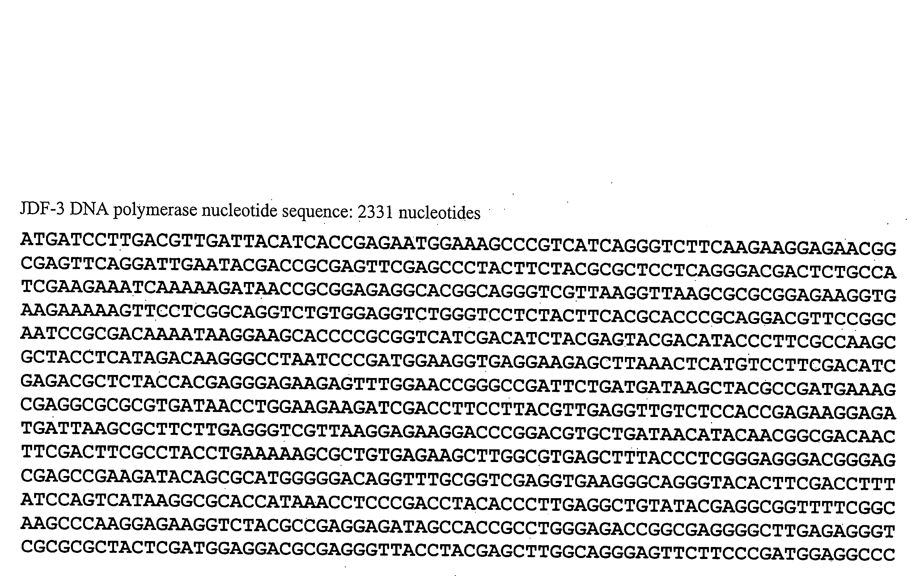 Compositions and methods utilizing DNA polymerases
