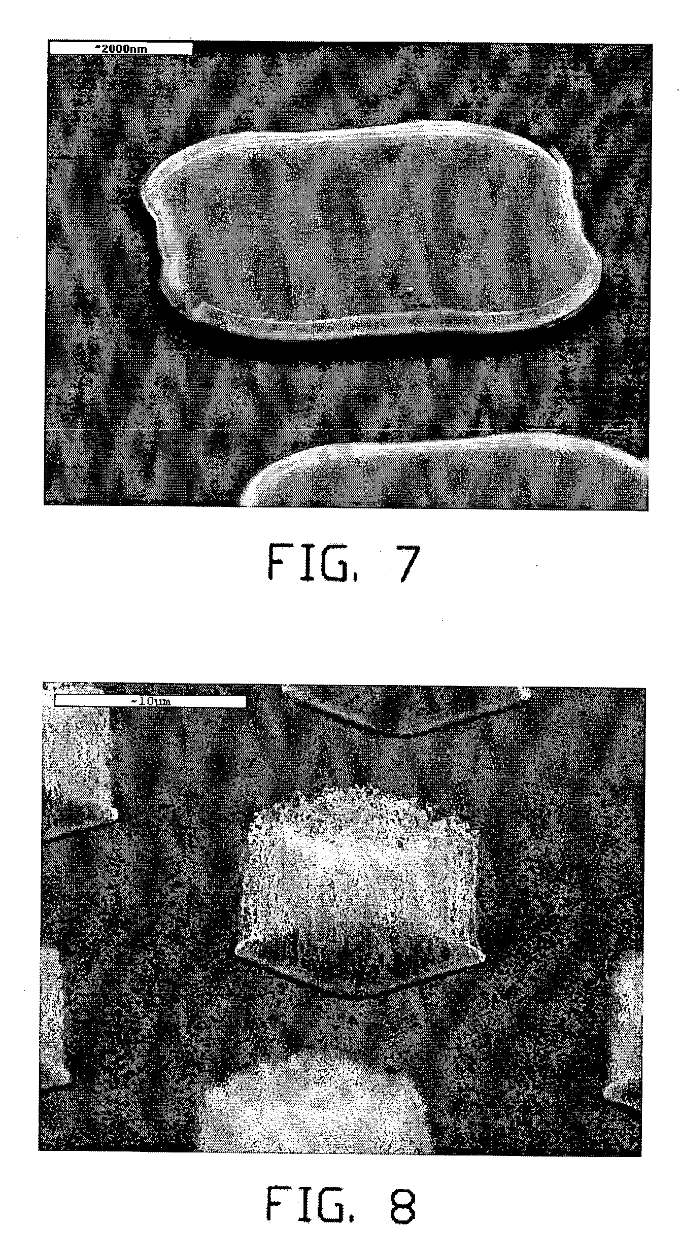 Carbon nanotube array and method for forming same