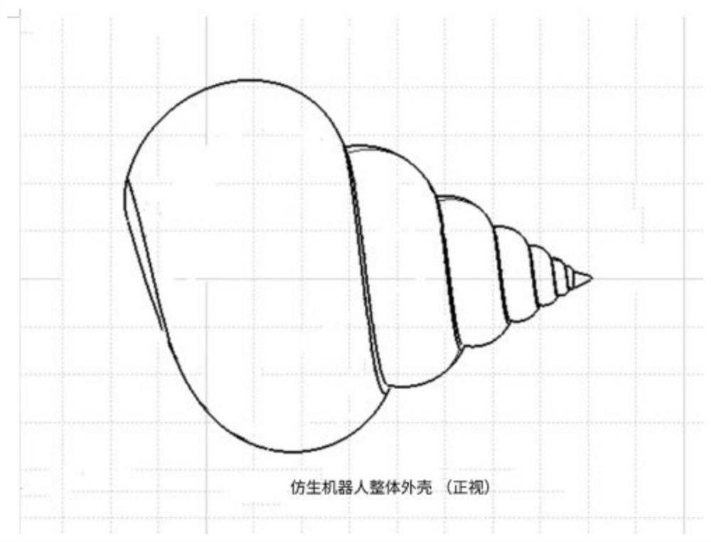 Snail and shellfish bionic robot device for seabed information dynamic real-time detection